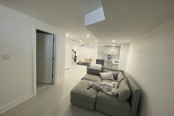 basement living reno