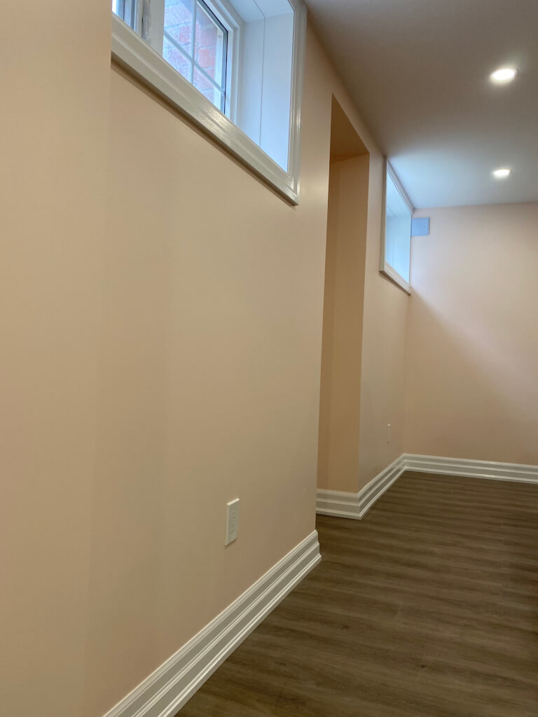 Basement renovation